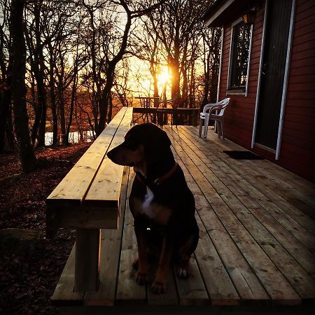 Farm Stay Happy Dogs Ranch Veberöd Buitenkant foto