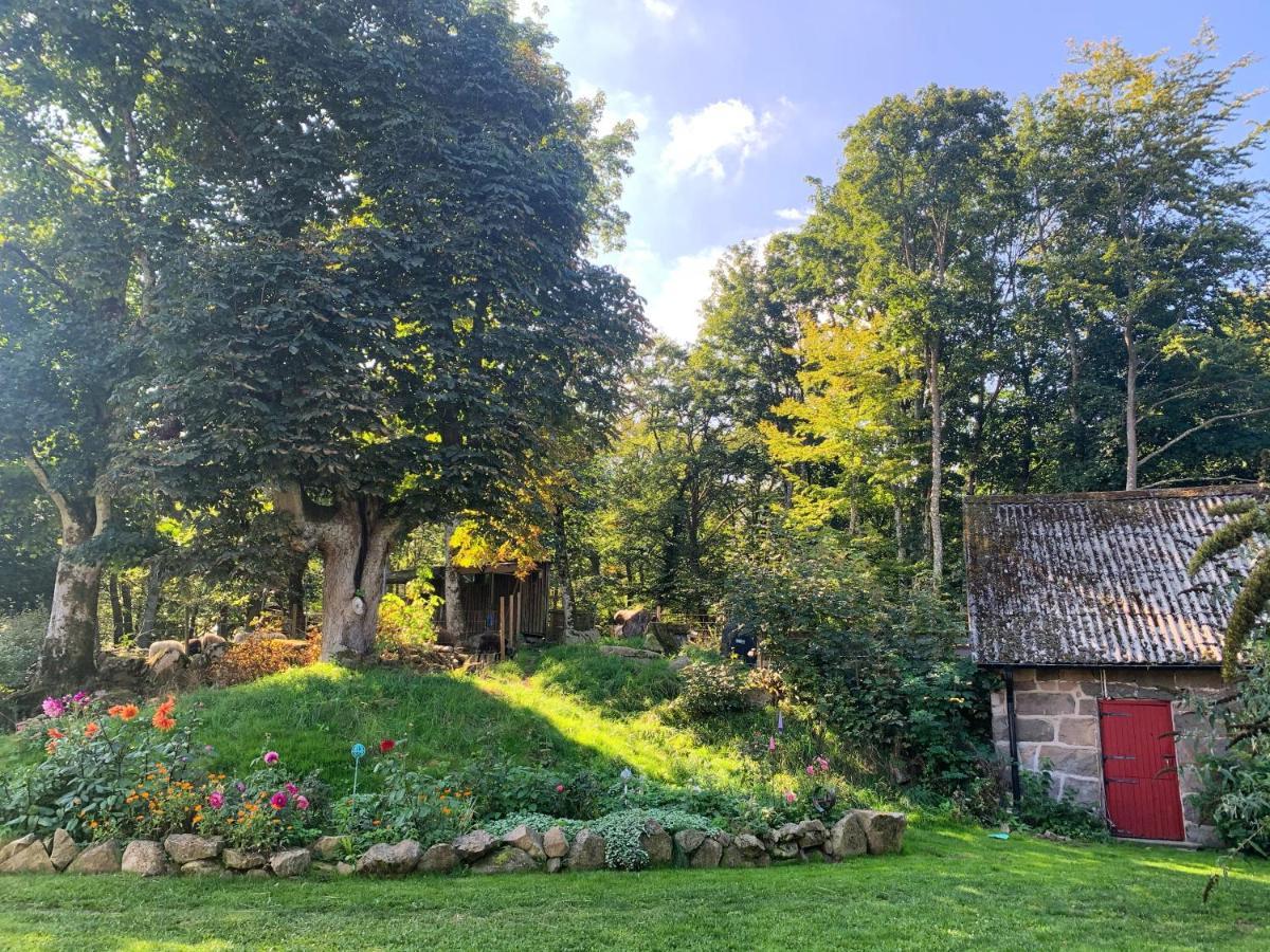 Farm Stay Happy Dogs Ranch Veberöd Buitenkant foto