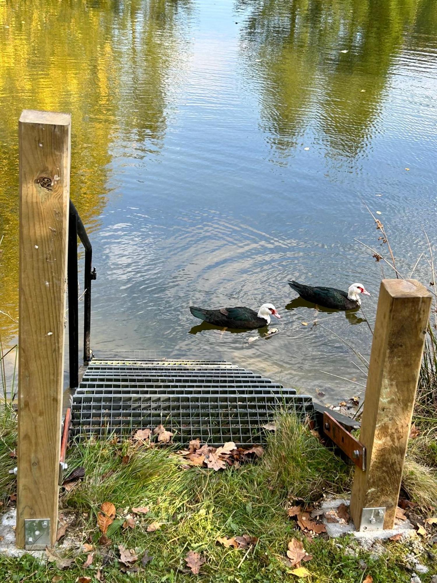 Farm Stay Happy Dogs Ranch Veberöd Buitenkant foto