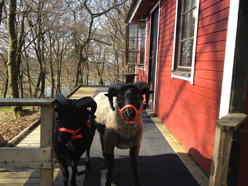 Farm Stay Happy Dogs Ranch Veberöd Buitenkant foto