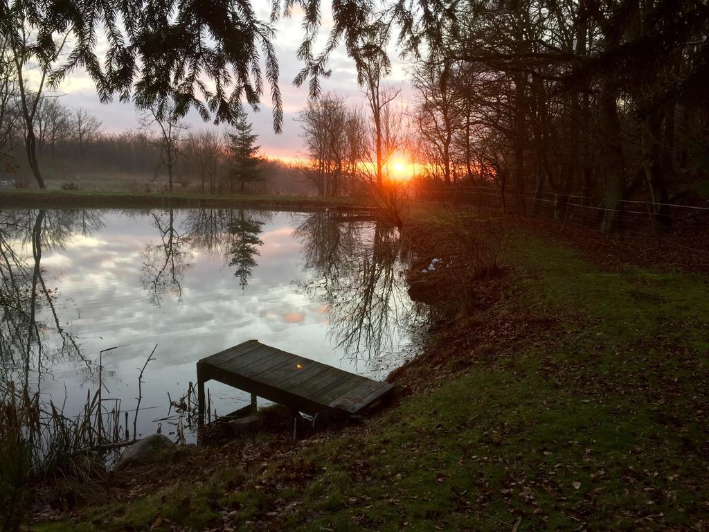 Farm Stay Happy Dogs Ranch Veberöd Buitenkant foto